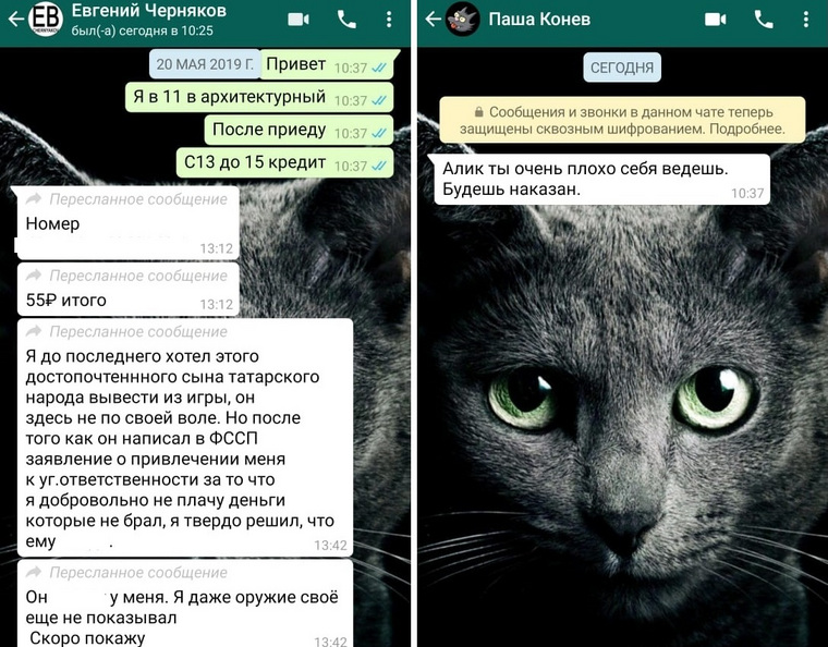 Сообщения по WhatsApp от Павла Конева с угрозами