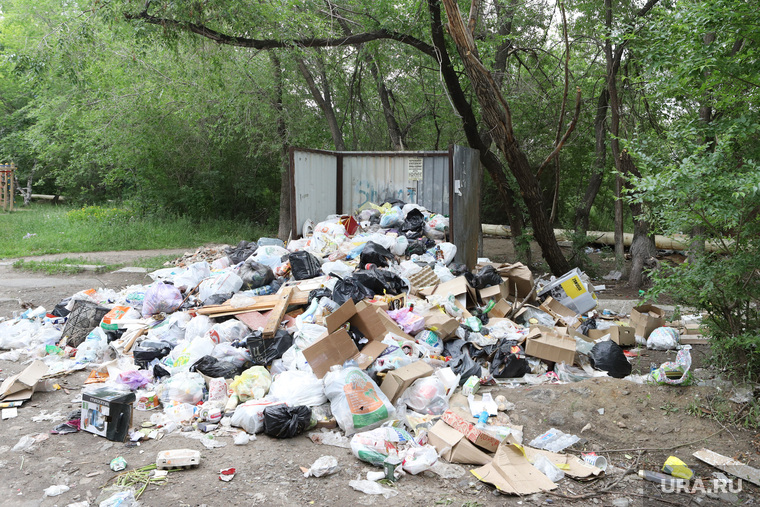 Шумков откладывал решение мусорной проблемы на период после выборов. Сейчас решить ее будет сложнее