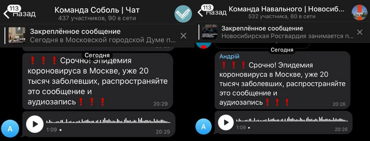Тревожная информация вбрасывается через чаты команды блогера Навального