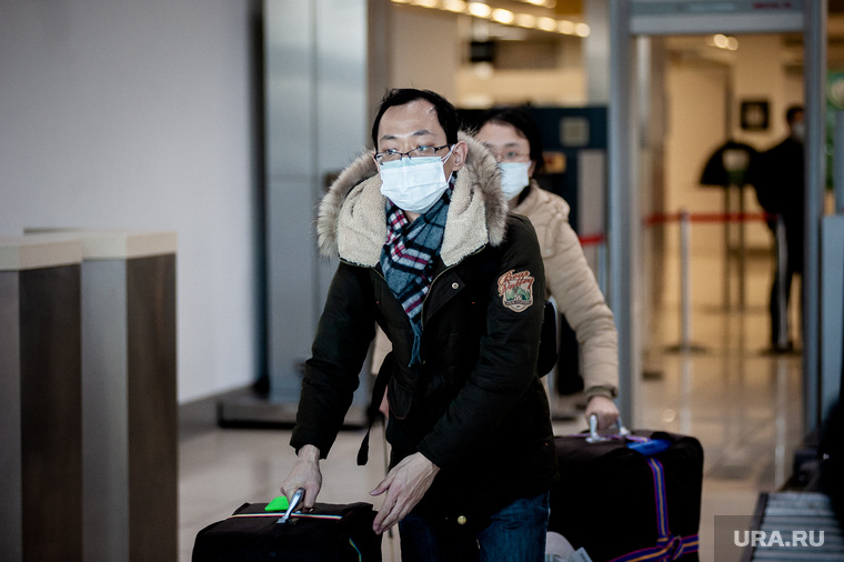 На время пандемии коронавируса «УА» проще совсем остановить полеты, предлагает эксперт