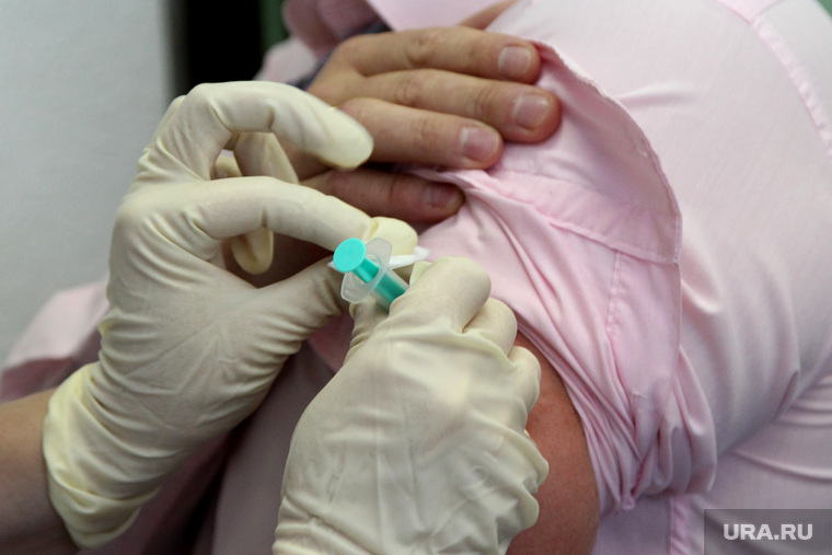 Первую прививку от коронавируса поставят в конце 2020 — начале 2021 года