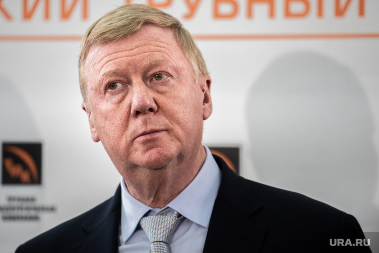 Жена Анатолия Чубайса поручилась в суде за Марину Лукашевич