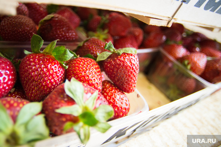 Продержаться на одних ягодах и орехах достаточно трудно, считают специалисты