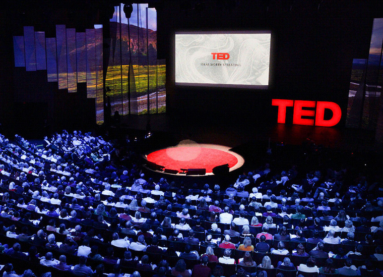 В этом году темой крупнейшей образовательной конференции в мире TEDx в Санкт-Петербурге станет тема «Другие мы»