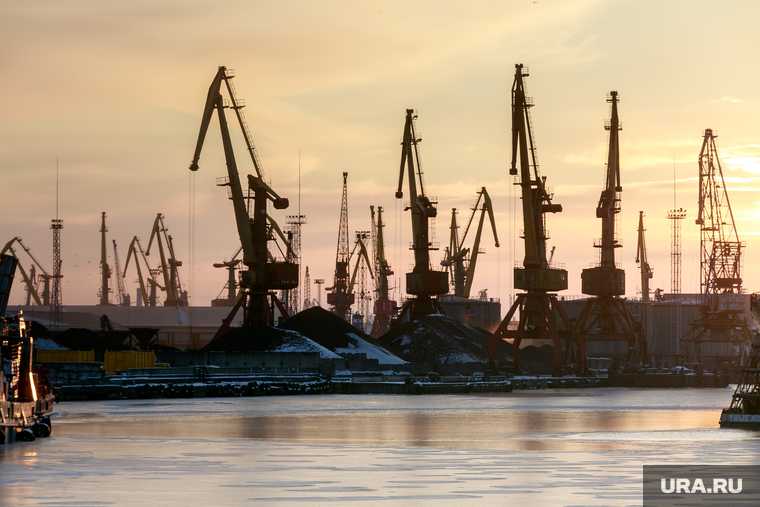 Калининградский порт подвергся критике президента РФ Владимира Путина из-за слишком долгой процедуры таможенного оформления грузов