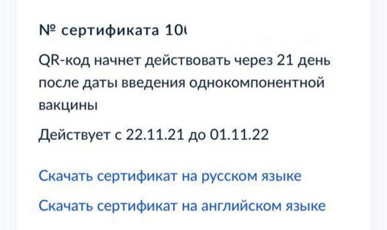 Запись из личного кабинета на «Госуслугах» о сроках действия QR-кода. Житель Свердловской области вакцинировался «Спутником Лайт» 28 октября