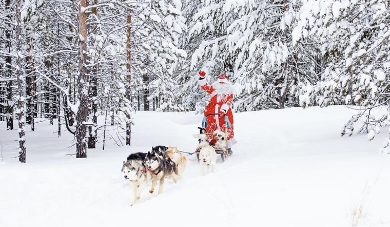 Дед Мороз и Снегурочка в упряжке, запряженной настоящими северными ездовыми хаски, поздравят с Новым годом