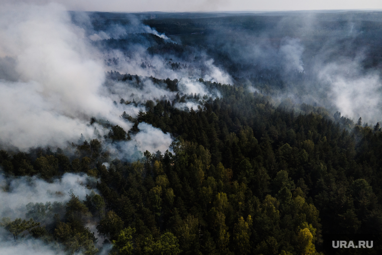 Лесной пожар на озере Глухое. Свердловская область