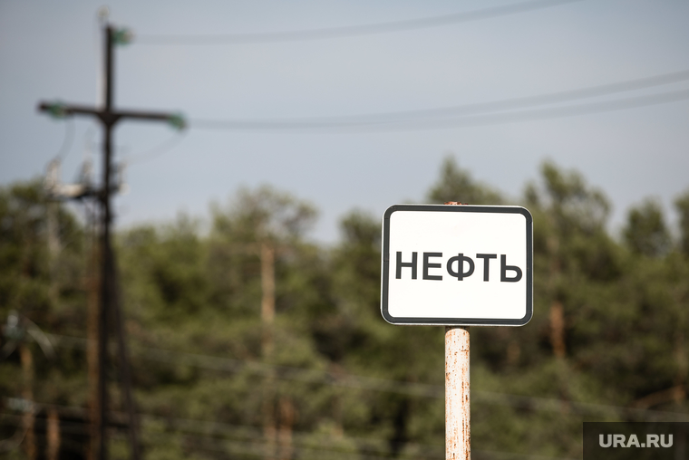 От углеродной зависимости Россия не уйдет еще несколько десятилетий