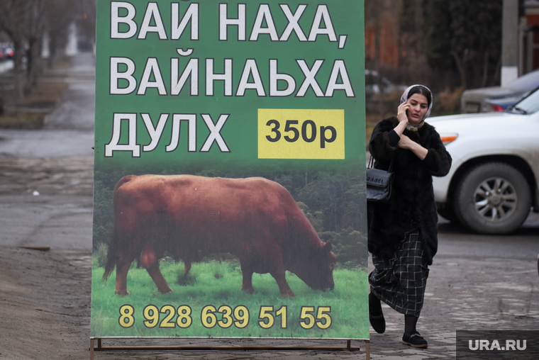 Реклама местного производителя говядины — 350 рублей за килограмм. Дешевле, чем в среднем по России