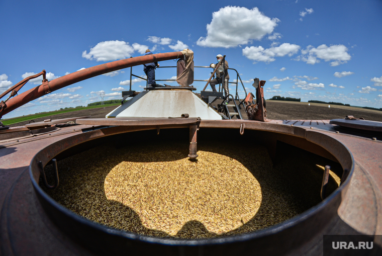 Россия и Украина вместе — это 30% мирового экспорта пшеницы