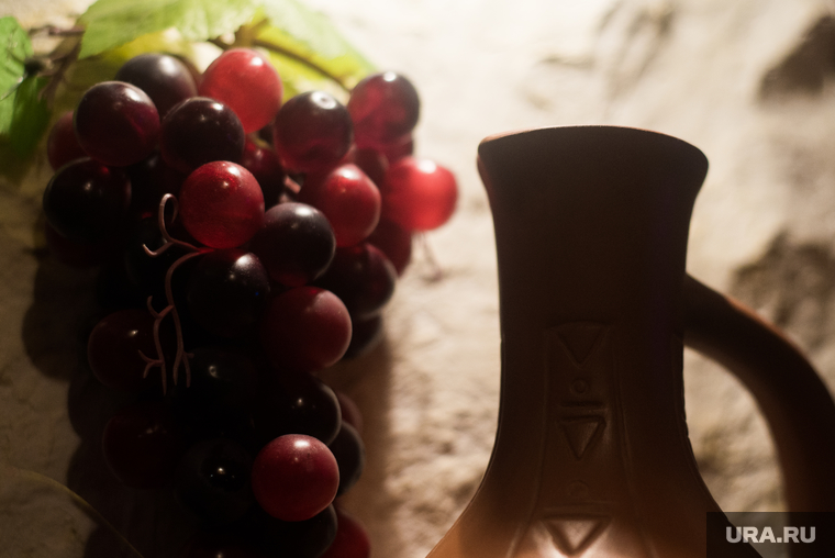 Производство винограда в Дагестане планируют вывести на новый уровень