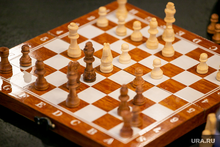 Скандал вокруг шахматной школы Салехарда набирает обороты