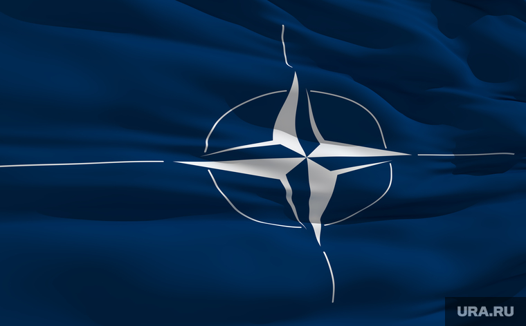 Действуя по указке НАТО, Финляндия делает хуже сама себе, убежден Алексей Журавлев