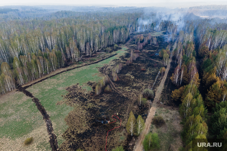 На пике площадь лесных пожаров в Свердловской области достигала 1,8 тысячи га