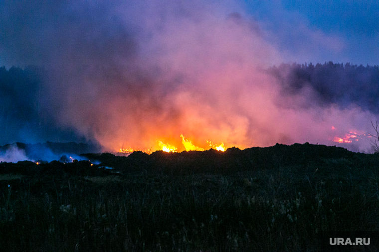 В Тюменской области прекратились масштабные пожары