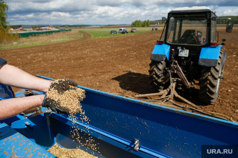 Сельское хозяйство — одна из самых стабильных отраслей экономики в России в условиях санкций