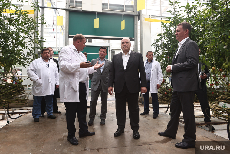 Во время рабочего визита в тепличное хозяйство премьер-министр РФ Михаил Мишустин отметил стабильный рост объемов производства овощей в стране