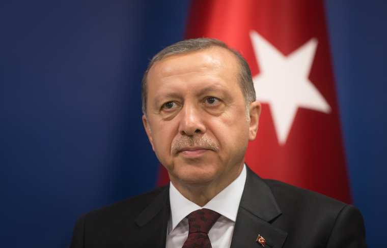 Турецкий лидер Реджеп Тайип Эрдоган единственный лидер из стран-членов НАТО, кто может возразить Вашингтону и Брюсселю, отметил политолог Павел Фельдман