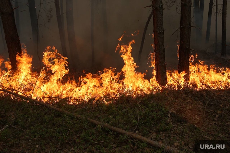 Беспилотники, которые должны были помочь в тушении пожаров, не помогли ликвидировать возгорания