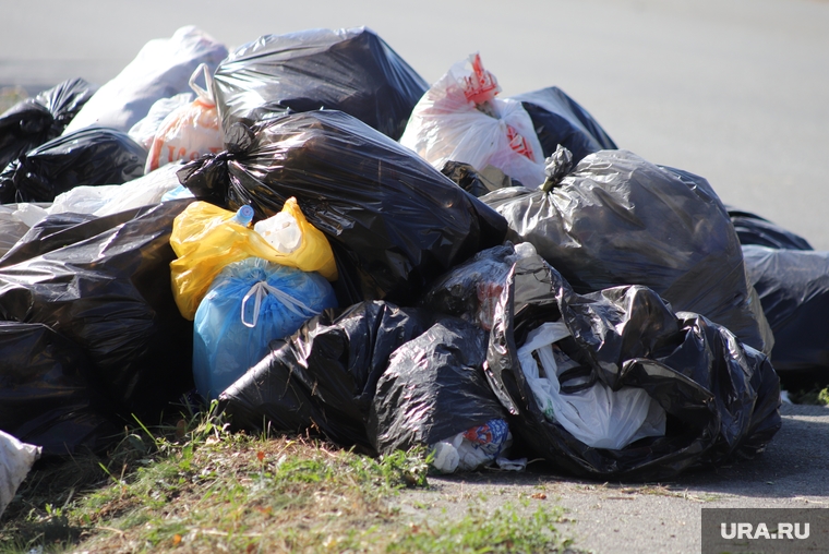 Главную трассу Салехард-Сургут наконец-то очистят от мусора