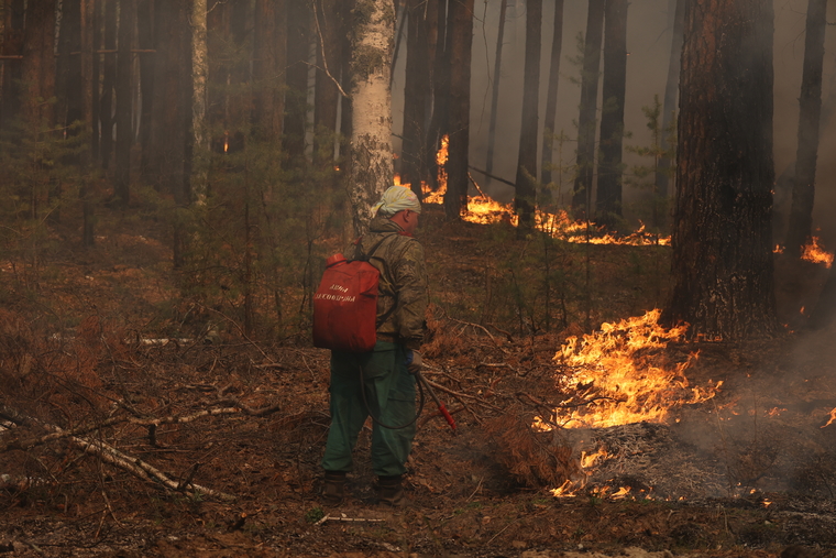 С сильными лесными пожарами в мае 2022 года боролись в Курганской области