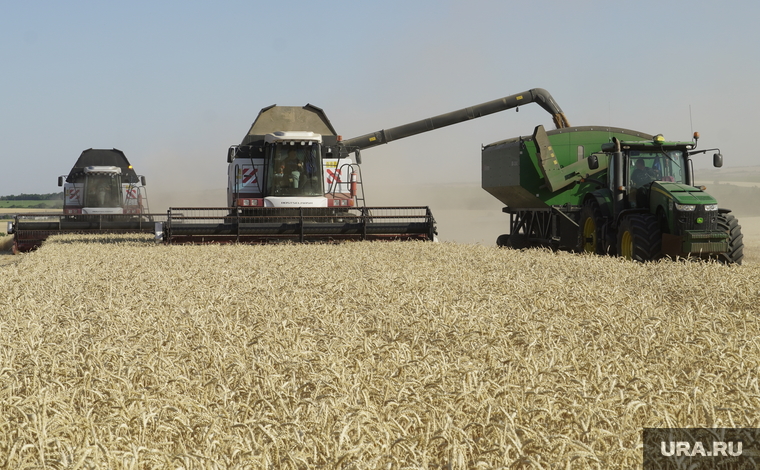 Экспорт пшеницы может приносить России еще больше доходов
