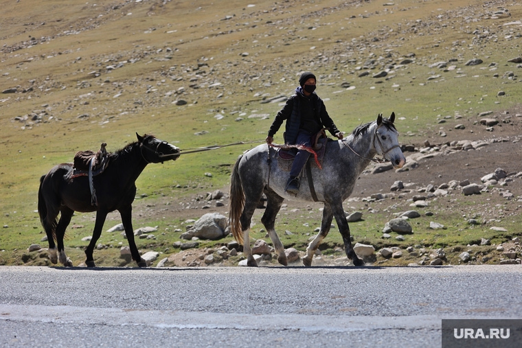 Чабаном может быть даже семилетний мальчик. В Кыргызстане есть поговорка, что киргизы рождаются между ушей лошади.