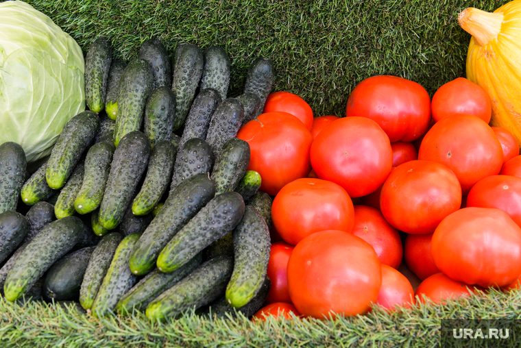 Сезонный спад цен на овощи притормозил инфляцию в России