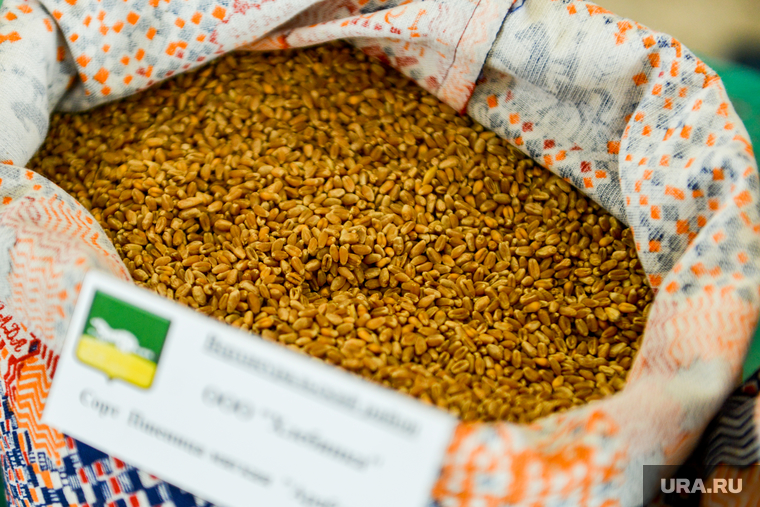 Отправка зерновых через порты Краснодарского края — кратчайший путь в Африку, поясняют эксперты