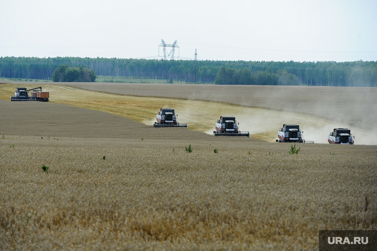 В России в этом году рекордный урожай