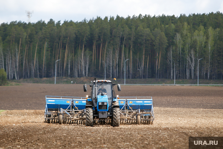 В регионах используется значительно меньше сельхозплощадей, чем в 90-е годы, напомнил председатель комитета Госдумы по аграрным вопросам Владимир Кашин