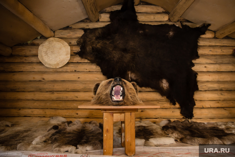 По словам шаманов, тотем губернатора Комаровой — медведь