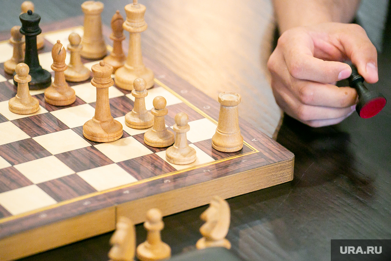 Россияне будут собираться под предлогом игры в шахматы