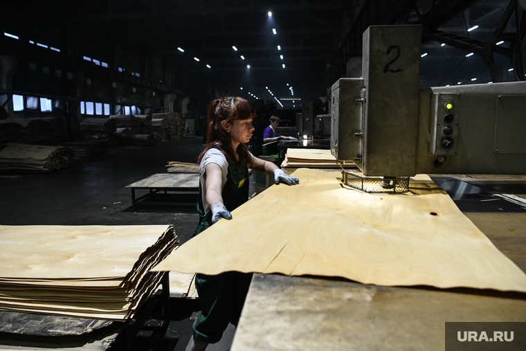 Производство плитных материалов — один из приоритетов стратегии развития лесоперерабатывающей отрасли