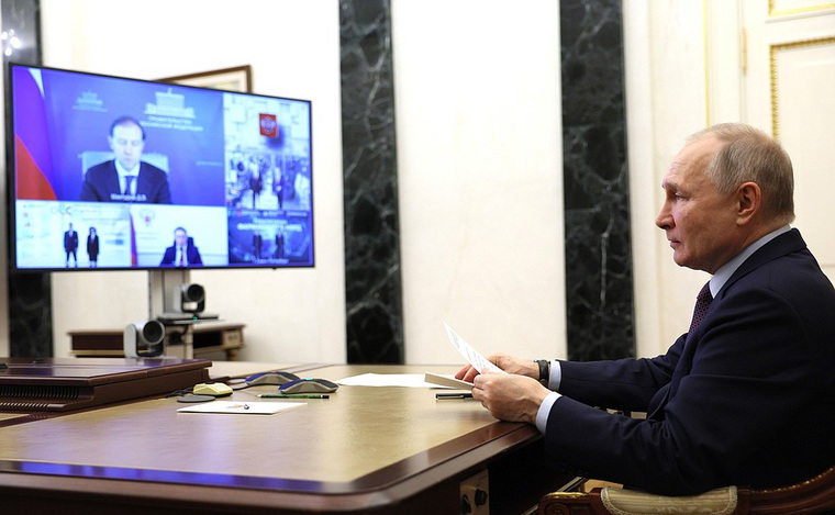 Руководители новых заводов и чиновники были на видеосвязи с президентом РФ