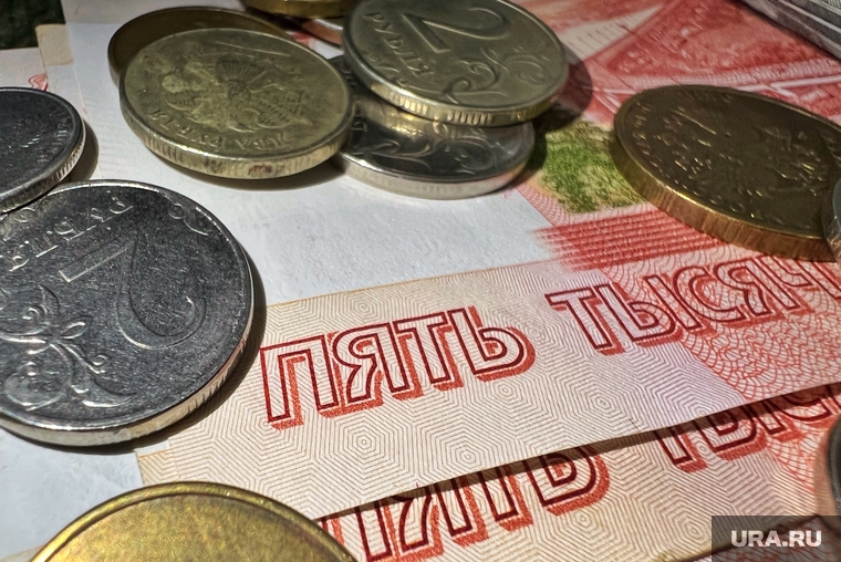 Власти планируют собрать 200 тысяч рублей