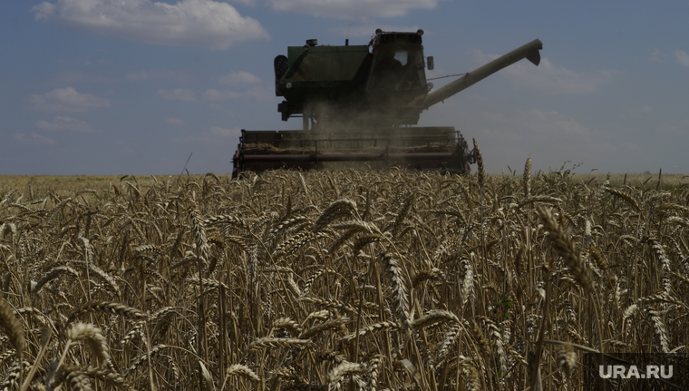 Условия продления зерновой сделки пока не ясны