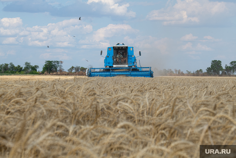 Сельское хозяйство может стать драйвером развития экономики Донбасса, считает Михаил Мишустин