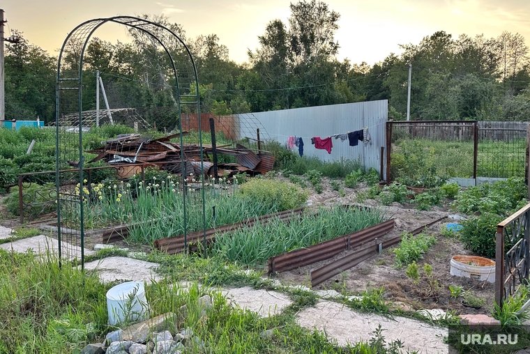 Федякина ухаживает за огородом: высаживает цветы и овощи