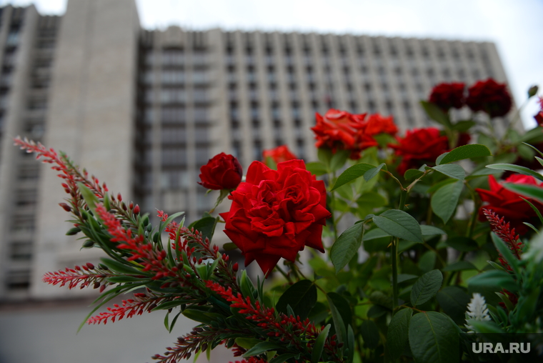 С 2014 года жителям Донецка все сложнее ухаживать за цветами