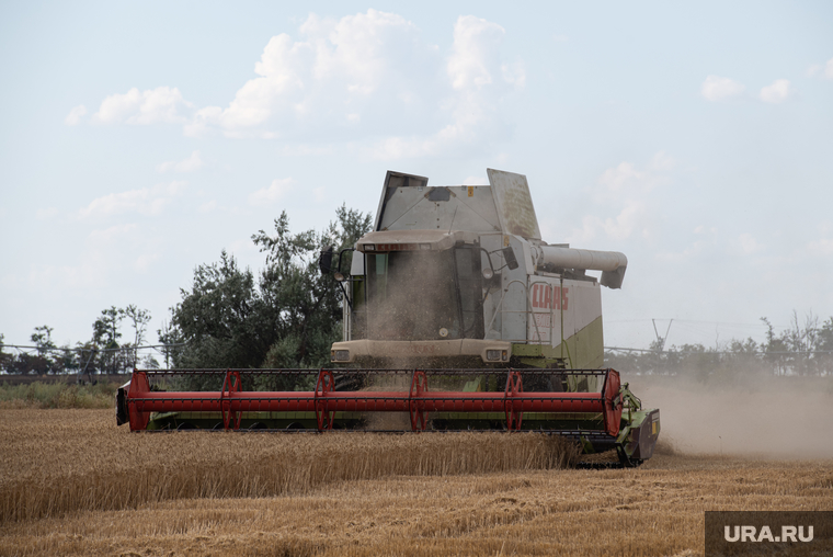 Объемы производства и экспорта зерна из России в разы больше, чем из Украины, заявил президент РФ Владимир Путин