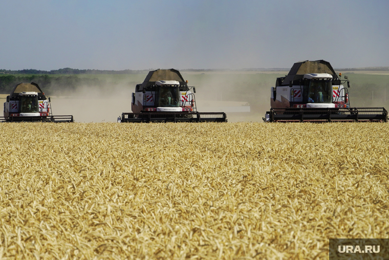По оценкам экспертов урожай зерновых в 2023 году может побить рекорд 2022 года