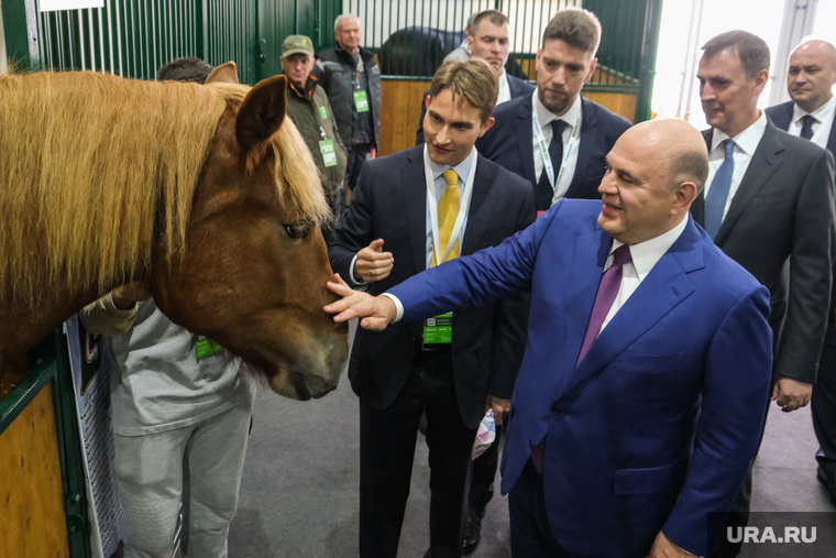 Михаил Мишустин, гуляя по выставке «Золотая осень», покормил и погладил лошадь. «Красавчик!» — сказал глава правительства