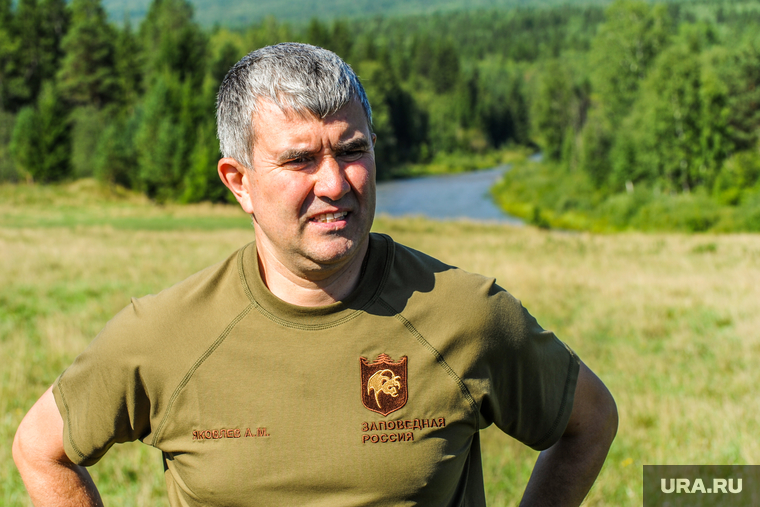 Алексей Яковлев признал вину