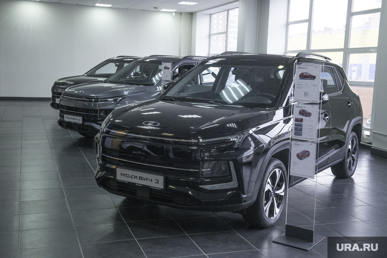 Чесноков назвал программу «семейный автомобиль» позитивным примером поддержки многодетных
