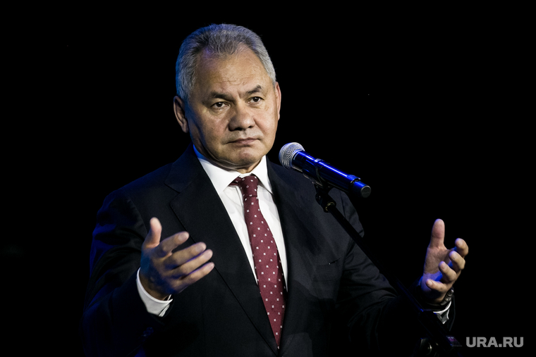 Шойгу доложил Путину об освобождении Авдеевского коксохимического завода