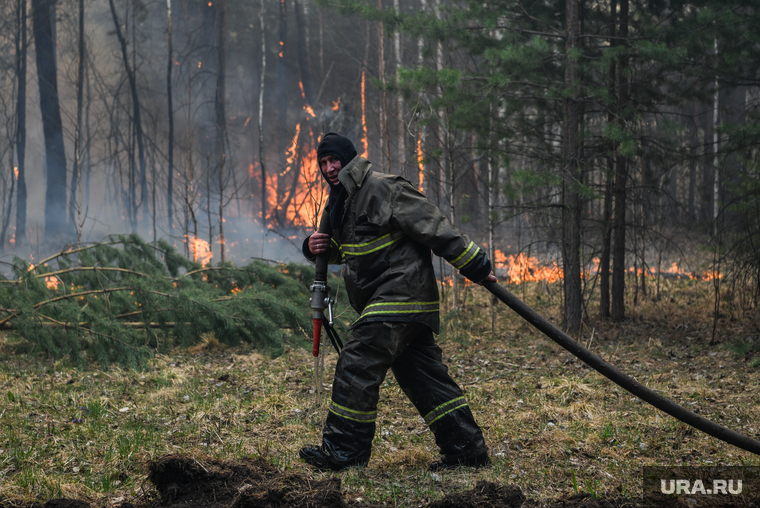 Новые меры правительства направлены на предотвращение лесных пожаров