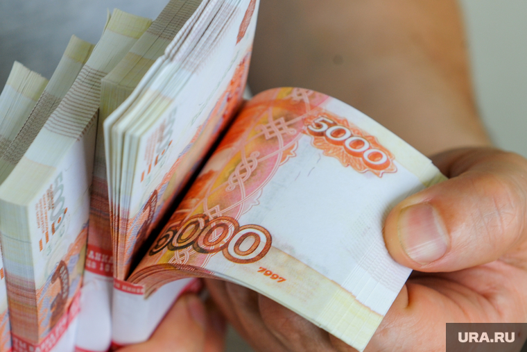 Если смета рассчитана правильно, то в конце года доходы и расходы СНТ сойдутся до копейки