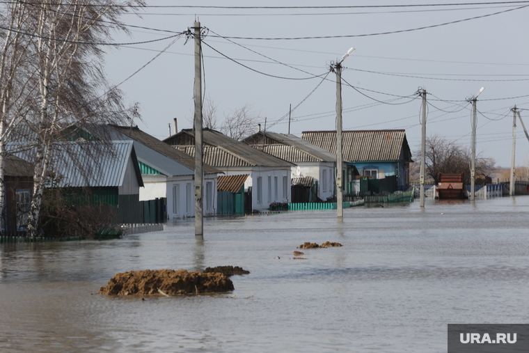 Островки спасения для животных неумолимо затапливает